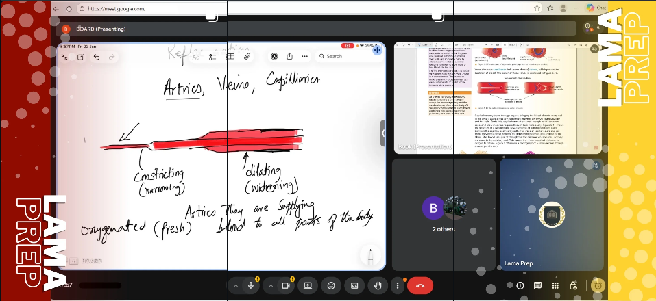 Lama Prep tutoring session on Zoom